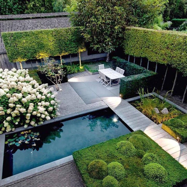 roof terrace garden